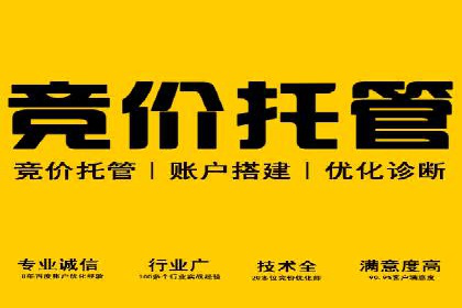 SEM广告投放的优化技巧与实战案例分享
